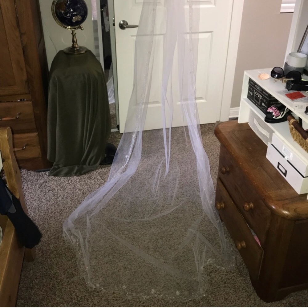 Cathedral Length Wedding Veil